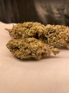 Photo de blue glue 3