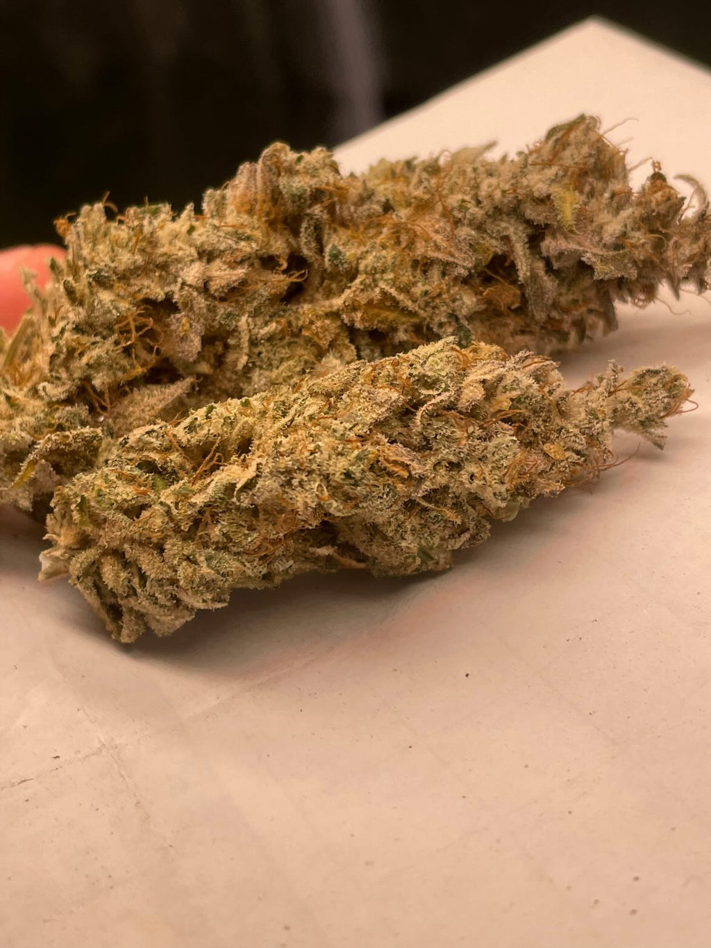 Photo de blue glue 4