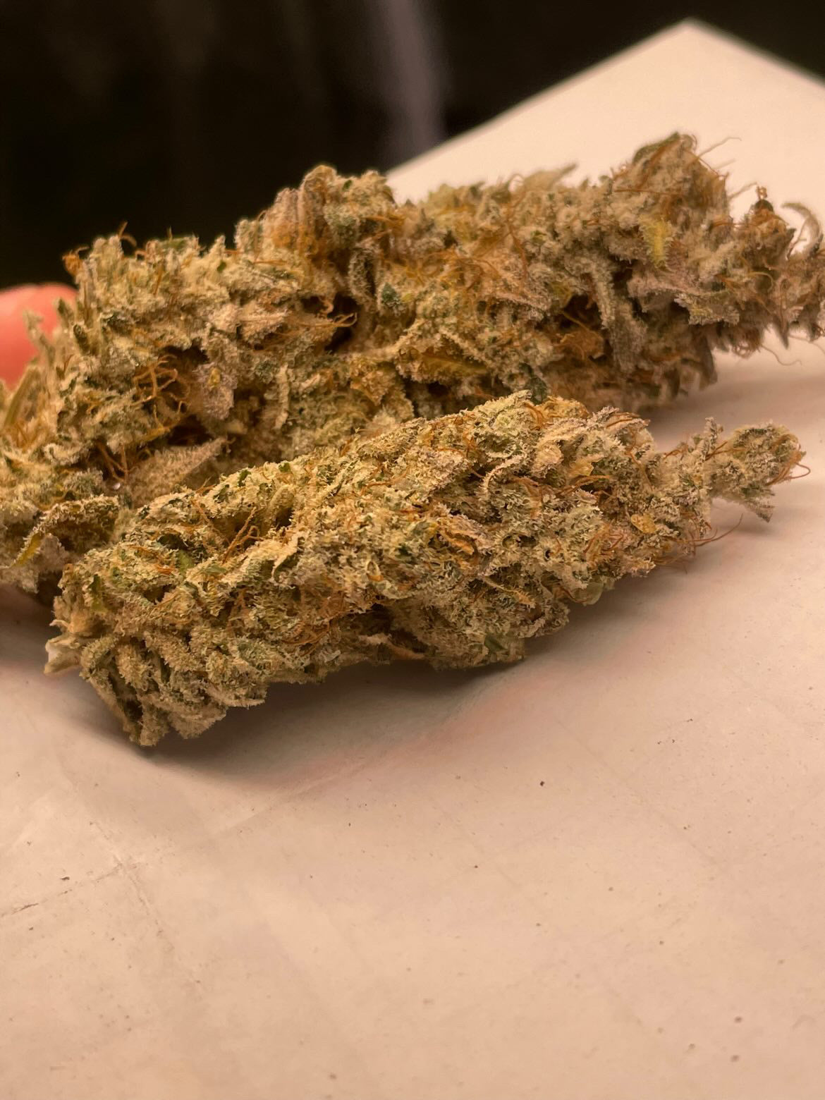 Photo de blue glue 4