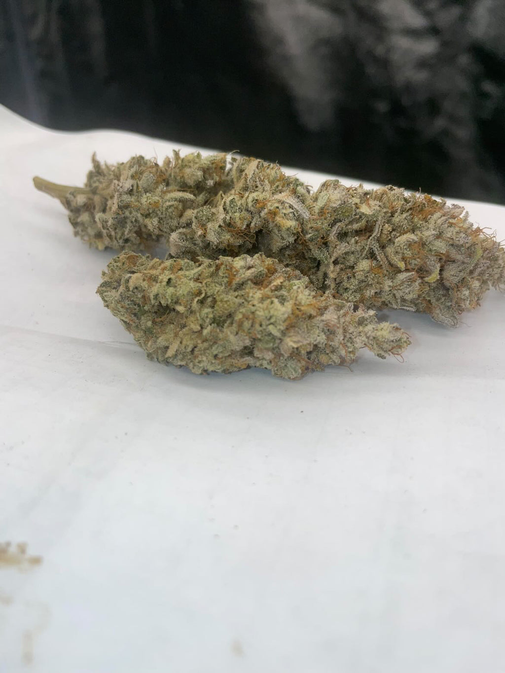 Photo de blue glue 5