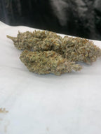 Photo de blue glue 5